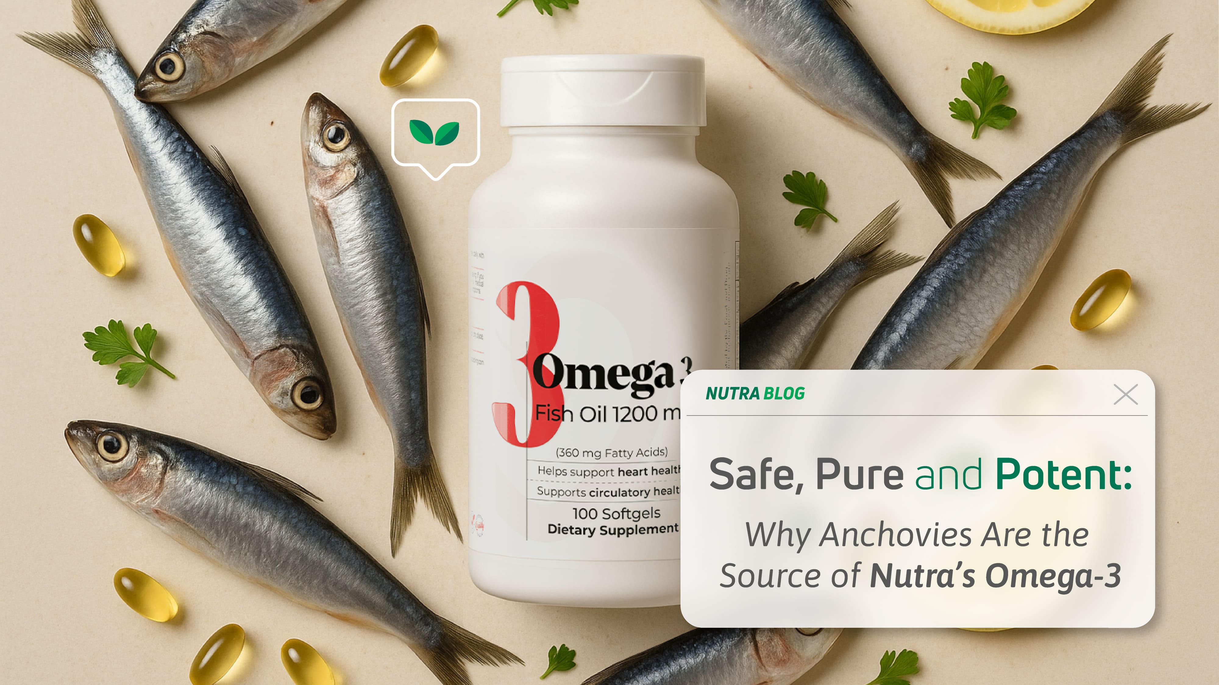 Anchovies: The Pure Source of Omega 3 Supplements