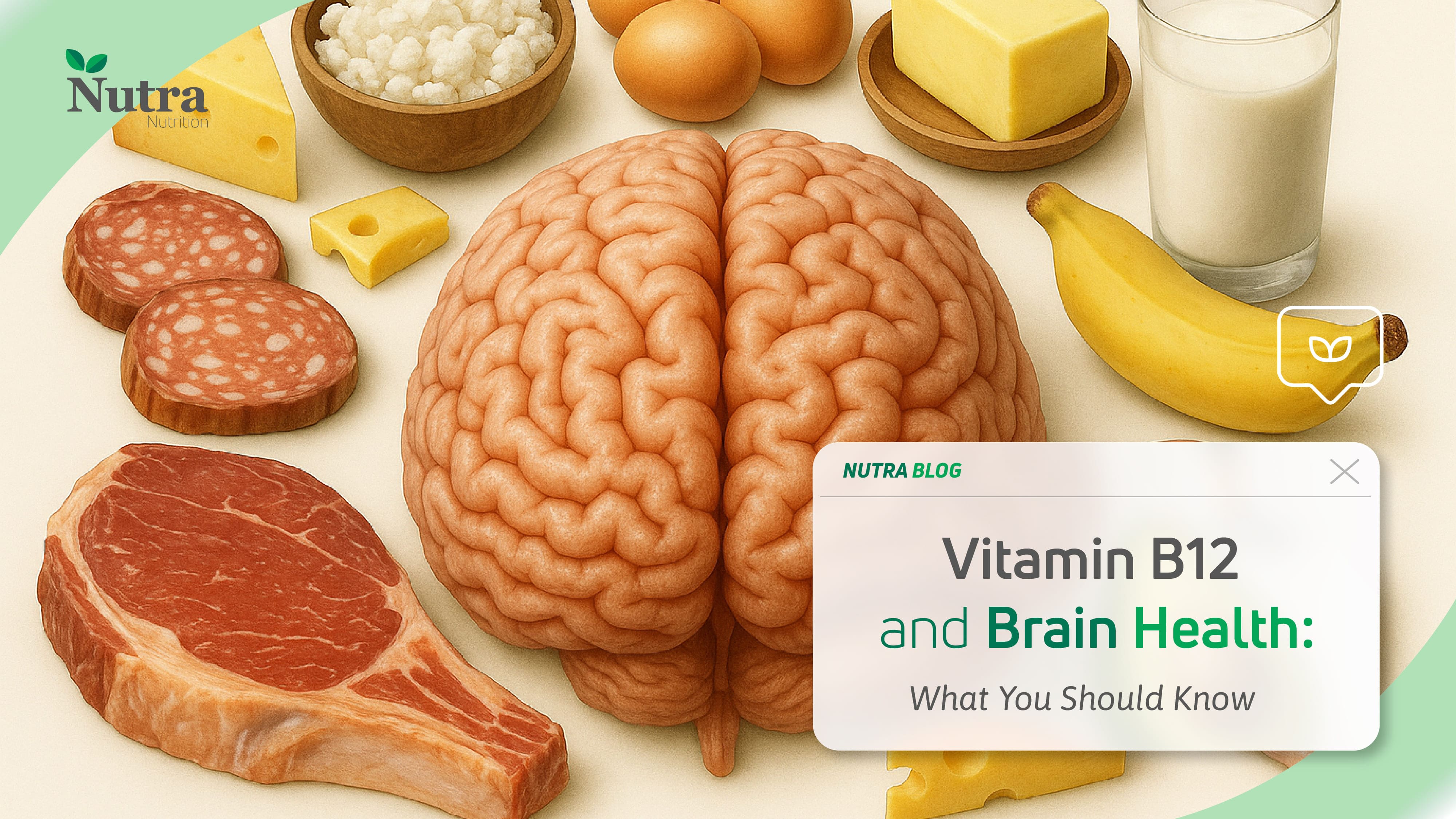  Vitamin B12 and Brain Health: What You Should Know