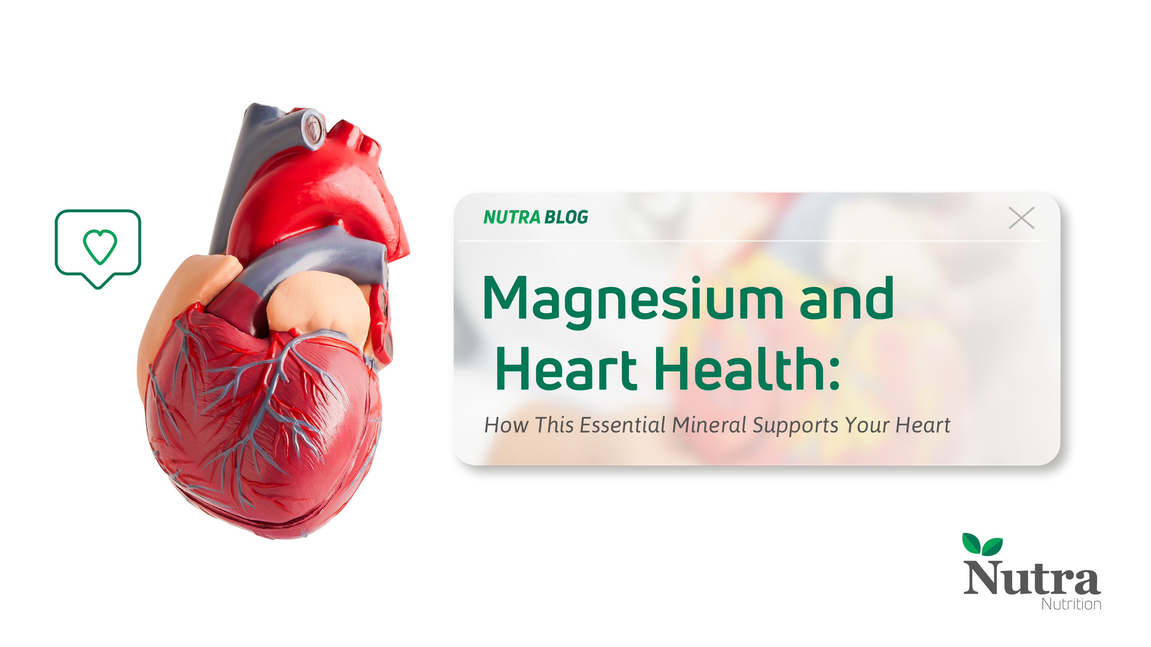    Magnesium and Heart Health.